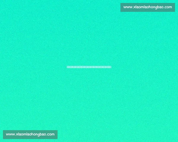 快船对决国王西部强强碰撞胜负悬念引爆焦点之夜季后赛席位争夺战