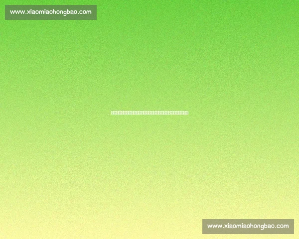 法国与荷兰百年交锋史从战争同盟到足球赛场的宿命对决历史演变全景